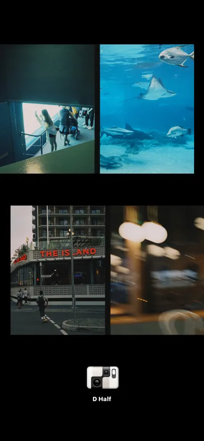 Dazz2025ٷ°汾v1.0.51 ׿