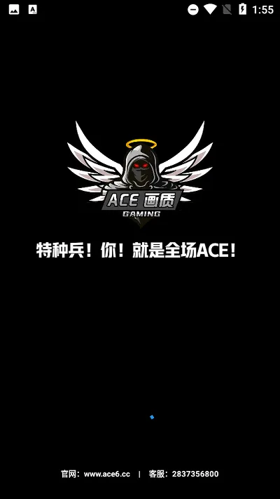 ACE(Ϸ)v5.0 Pro ֻ