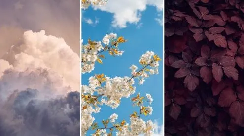 美妙壁纸馆2025最新版本 美妙壁纸馆2025最新版本