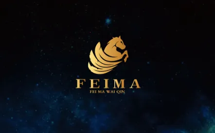 飞马外勤(外勤管理软件) 飞马外勤(外勤管理软件)