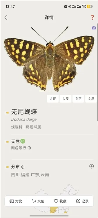 寻蝶记2025最新版本 寻蝶记2025最新版本