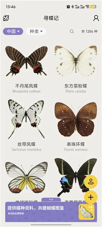 寻蝶记2025最新版本 寻蝶记2025最新版本