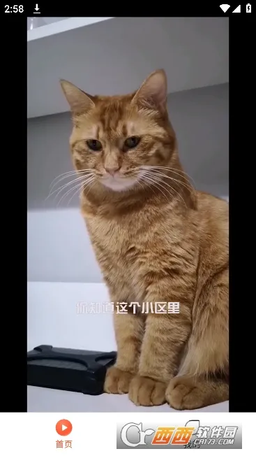 ̾2025°汾v1.0.0 ׿