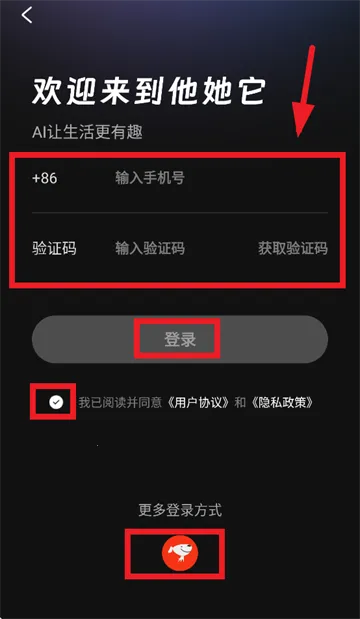 他她它2025最新版本 他她它2025最新版本