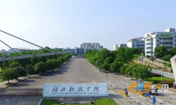 智慧湖科(智慧校园服务) 智慧湖科(智慧校园服务)