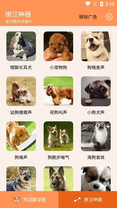 人狗交流器安卓版手机版 人狗交流器安卓版手机版