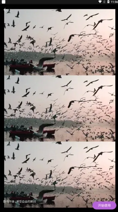 pixverse最新手机版 pixverse最新手机版