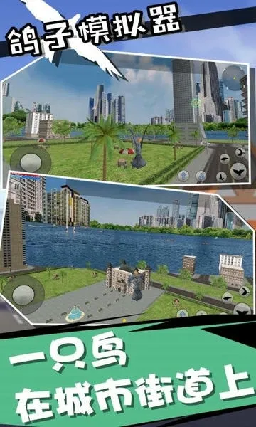 鸽子模拟器最新手机版 鸽子模拟器最新手机版