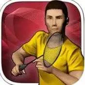 Realbadminton(򾺼)v1.0 ٷ 