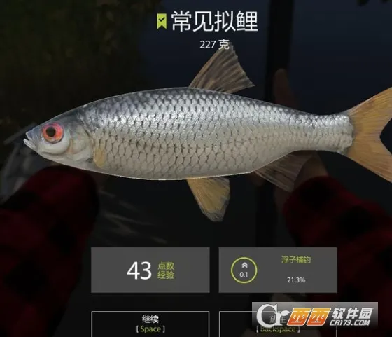 俄罗斯钓鱼42025最新版本 俄罗斯钓鱼42025最新版本