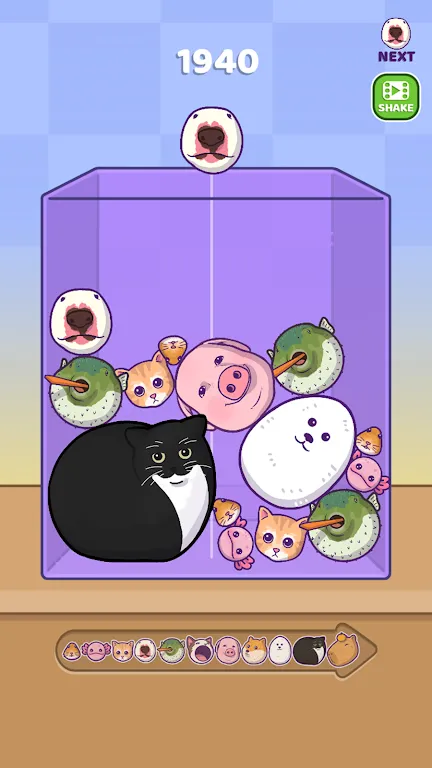 ϲ2025°汾v1.5.5 ֻ