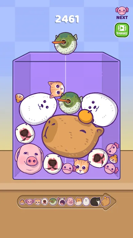 ϲ2025°汾v1.5.5 ֻ