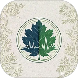 ݴƽ2025°汾v2.2.6 ׿