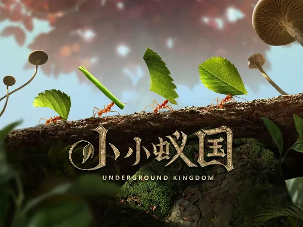 小小蚁国2025最新版本 小小蚁国2025最新版本