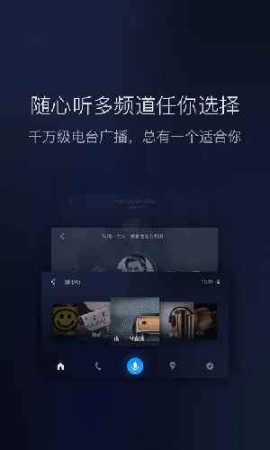 ذٶcarplay(๦)v8.6.5 ٷ