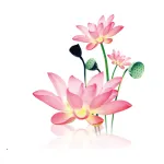 ˮī(๦ܹ)v1.2.0 Ѱ