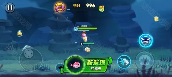 鱼吃鱼2025最新版本 鱼吃鱼2025最新版本