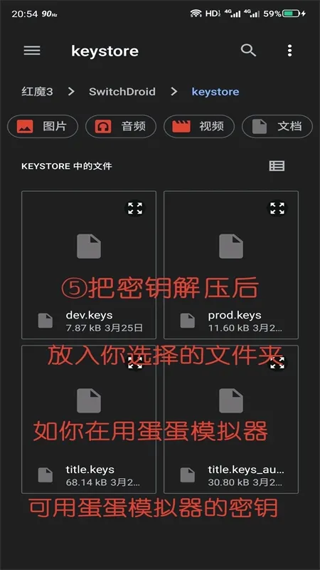 Skyline(任天堂游戏模拟器) Skyline(任天堂游戏模拟器)