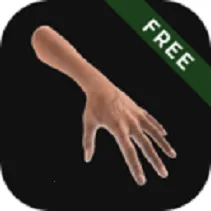 ģ2025ٷ°汾v3.1 Ѱ