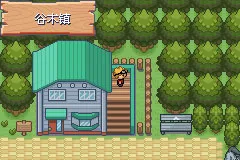 口袋妖怪釉色(抓宠冒险游戏) 口袋妖怪釉色(抓宠冒险游戏)