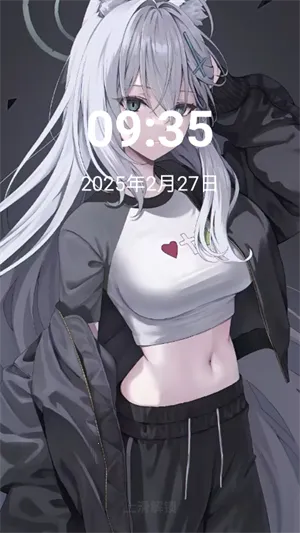 NerveOS(׿ϵͳ޸)v2.3.4 ׿