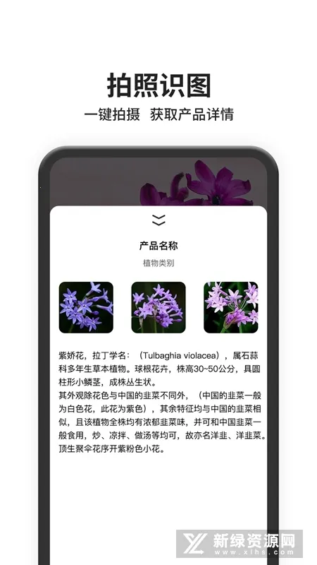 ͼͼ2025°汾v1.0.1 ֻ