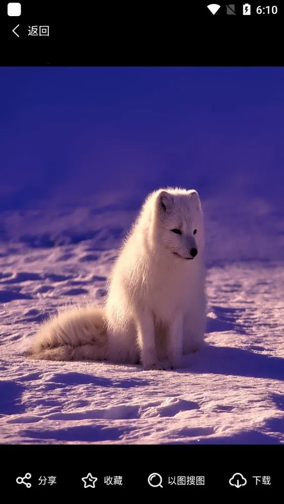 ͼͼ2025°汾v1.0.1 ֻ