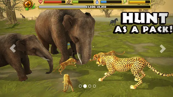 �Ա�ģ����(�Ա�������Ϸ)v206 �ֻ���