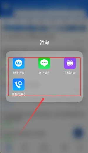 12366��˰����(��˰����ƽ̨)