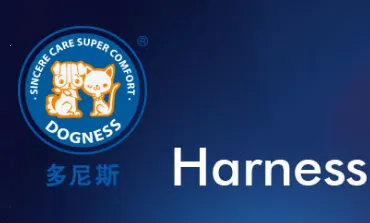 ����˹2025�ٷ����°汾