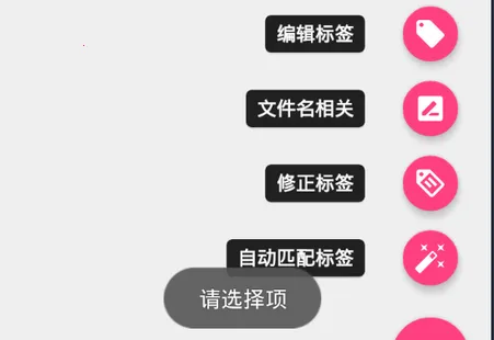 ���ֱ�ǩ�༭��(������Ϣ�༭)