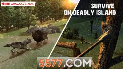 ���浺Ұ�����������ֻ���v1.1.0 �ֻ���