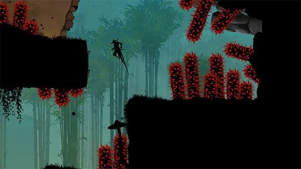 �����22026���°汾