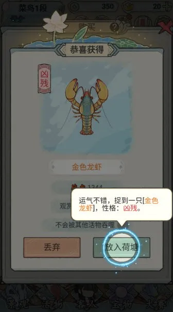 ��������(������Ӫ��Ϸ)