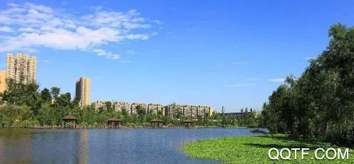 �ɽ�˼�2026���°汾