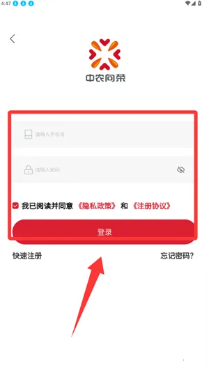 ������(���������̳�)