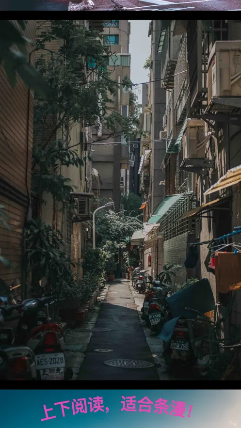 �ɴ�����2026�ٷ����°汾v1.0.1 �ٷ�����