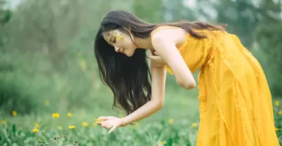 ����ý��