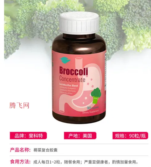 �Ĺ��羳2026���°汾