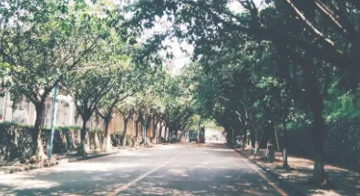 �������������ֻ���