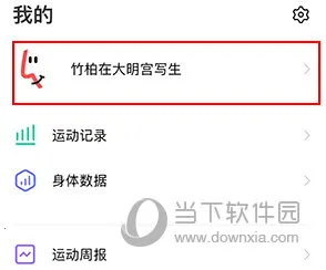 vivo�˶�����2026���°汾