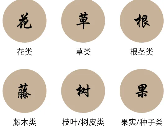 �в�ҩ����2026���°汾