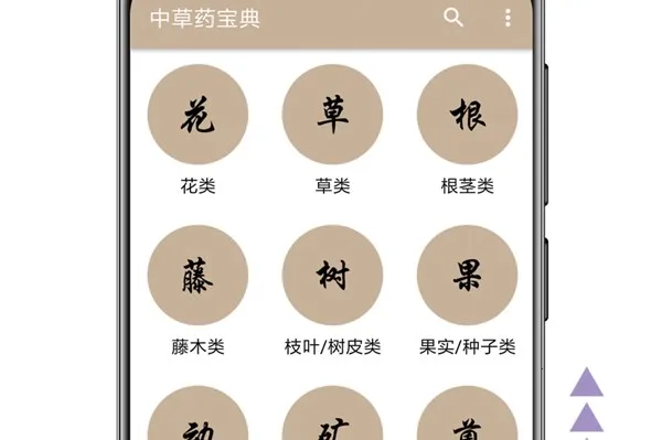 �в�ҩ����2026���°汾