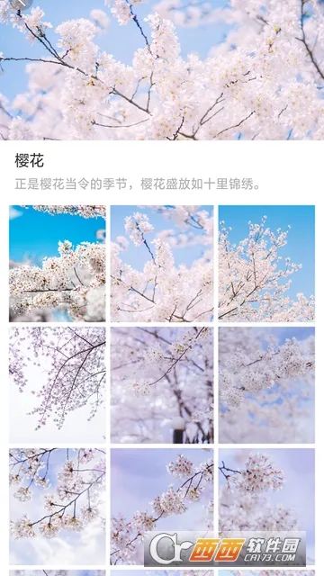 ��ű�ֽ�����ֻ���v1.0.0 ��Ѱ�