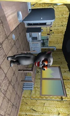 �ֲ��ĺ���2026�ٷ����°汾v1.0 �ٷ�����