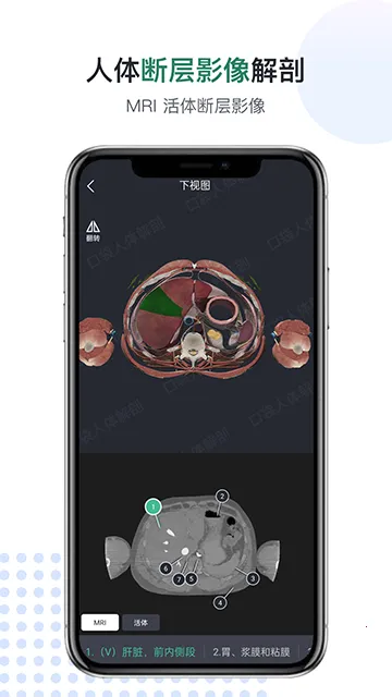 �ڴ��������v3.0.5 ��Ѱ�