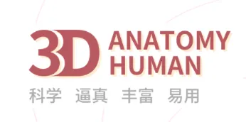 �ڴ��������