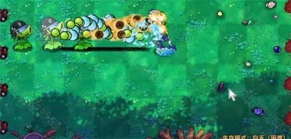 pvz��˫�氲׿���ֻ���