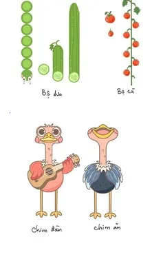 ������س������ֻ���