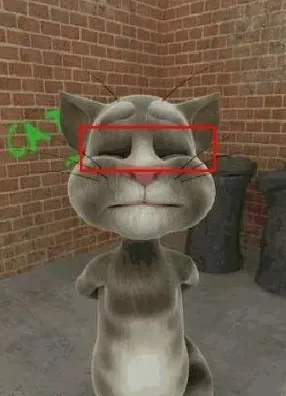 talkingtom2026���°汾